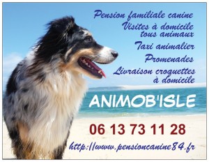 Carte de visite Animob'Isle